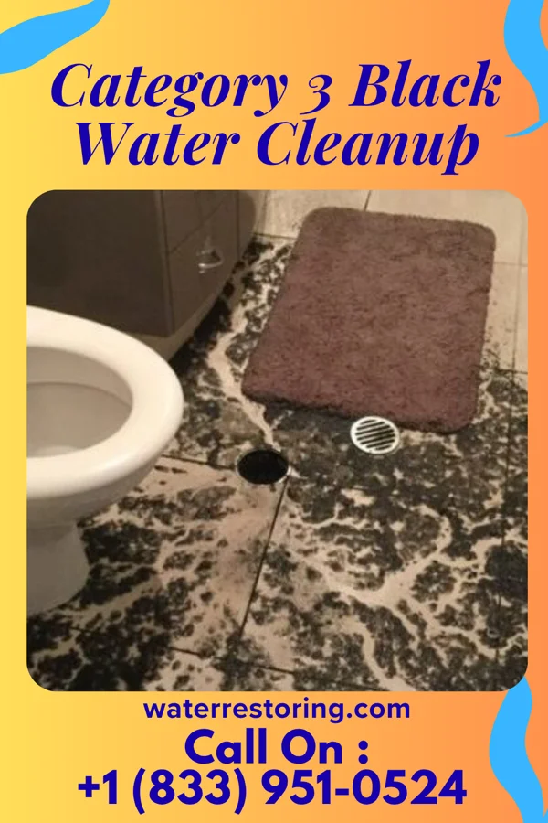 Category 3 Black Water Cleanup in Jennings, MO